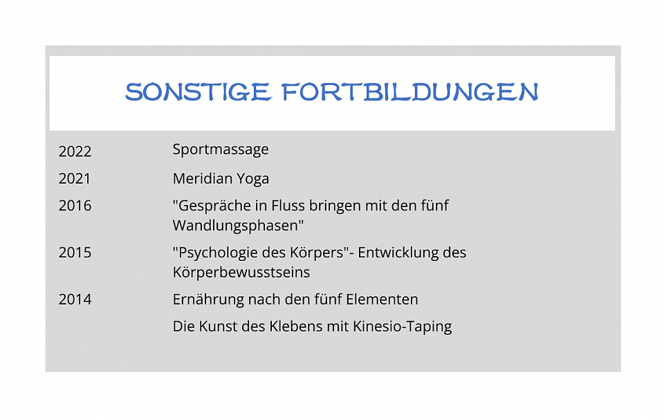 Sonstige Aus- und Fortbildungen.