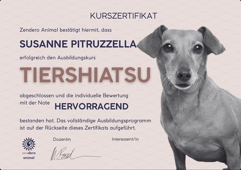 Zertifikat Tiershiatsu. Zendero Animal. Juli 2026.