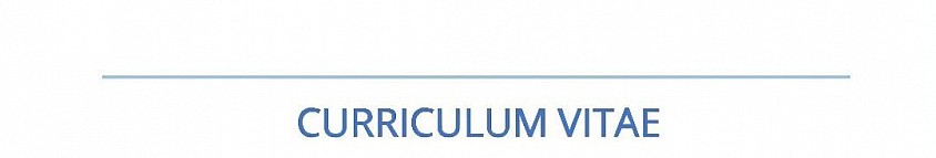 Curriculum Vitae.