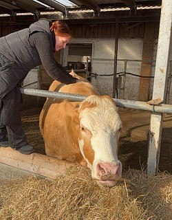 Tiershiatsu. Zu Besuch auf Gut Aiderbichl in Iffeldorf.