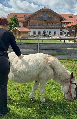 Fasziendehnung im Rahmen von Tiershiatsu für Theo.