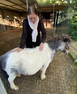 Fasziendehnung im Rahmen von Tiershiatsu für Theo.