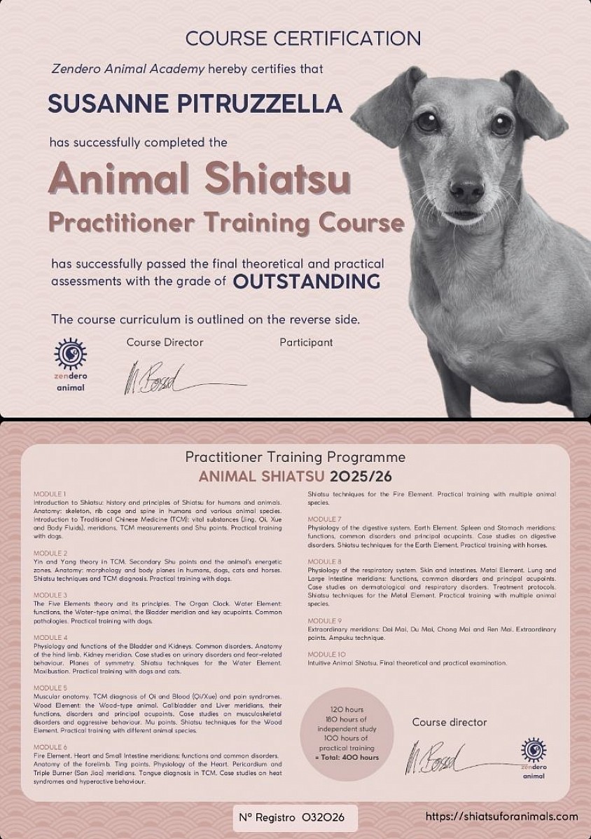 Animal Shiatsu certificate, Susanne Pitruzzella.  Outstanding. Zendero Animal.